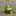 Adorable Reading Frog Garden Figurine-View 4-Next Deal Shop