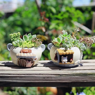 Adorable Resin Succulent Pot