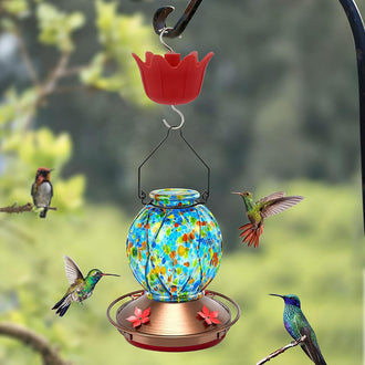 Ant Guard for Hummingbird Feeder  - Keeps Ants Away From Your Bird Feeder