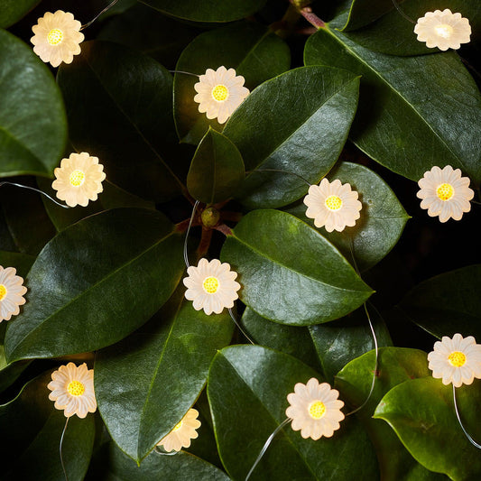 9.84ft 30 LED White Daisy Flower Fairy String Lights-View 1-Next Deal Shop