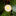 9.84ft 30 LED White Daisy Flower Fairy String Lights