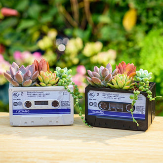 Cassette Tape Succulent Planter