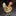 Christmas Chicken Garden Yard Stake with LED Lights-B-View 7-Next Deal Shop