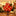Christmas Poinsettia Flower Tree Light-View 1-Next Deal Shop
