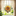 Colorful Sunflower Hanging Decor-Next Deal Shop-Next Deal Shop