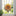 Colorful Sunflower Hanging Decor-Next Deal Shop-Next Deal Shop
