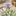 Colorful Tulip Bee Watering Station-Purple-View 4-Next Deal Shop