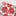 Dahlia Floral Placemat (set of 4)-View 4-Next Deal Shop