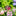 Decorative Metal Garden Plant Stake-Next Deal Shop-A-Next Deal Shop