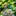 Decorative Metal Garden Plant Stake-Next Deal Shop-C-Next Deal Shop