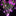 Decorative Solar Powered Flower Stake Light-Next Deal Shop-Next Deal Shop