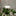 Dripping Rain Cloud for Plants-View 8-Next Deal Shop