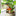 Fairy and Mushroom Flower Pot Decor-Next Deal Shop-Next Deal Shop