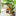 Fairy and Mushroom Flower Pot Decor-View 3-Next Deal Shop