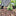 Family Pet Garden Silhouette Yard Stake-E-View 10-Next Deal Shop