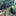 Family Pet Garden Silhouette Yard Stake-E-View 12-Next Deal Shop
