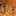 Festive 6.56 ft LED Pearl Garland Fairy Light (Gold)-Next Deal Shop-Next Deal Shop