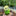 Fishing Frog Garden Figurine-Next Deal Shop-Next Deal Shop