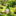 Flocked Moss Garden Gnome Figurine with Leaf Umbrella-B-View 3-Next Deal Shop