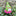 Flower Gnomes Garden Stake Decor-Next Deal Shop-Green-Next Deal Shop