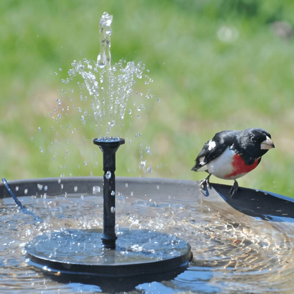 Free Standing Floating Solar Powered Water Fountain Pump for Bird Bath - Yard Garden Pond Outdoor Backyard Landscape Water Decor
