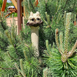 Funny Ostrich Head Garden Decor