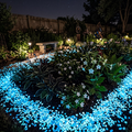 Glow-in-the-Dark Ambient Garden Pebbles - Luminous Pathway & Flower Bed Decor