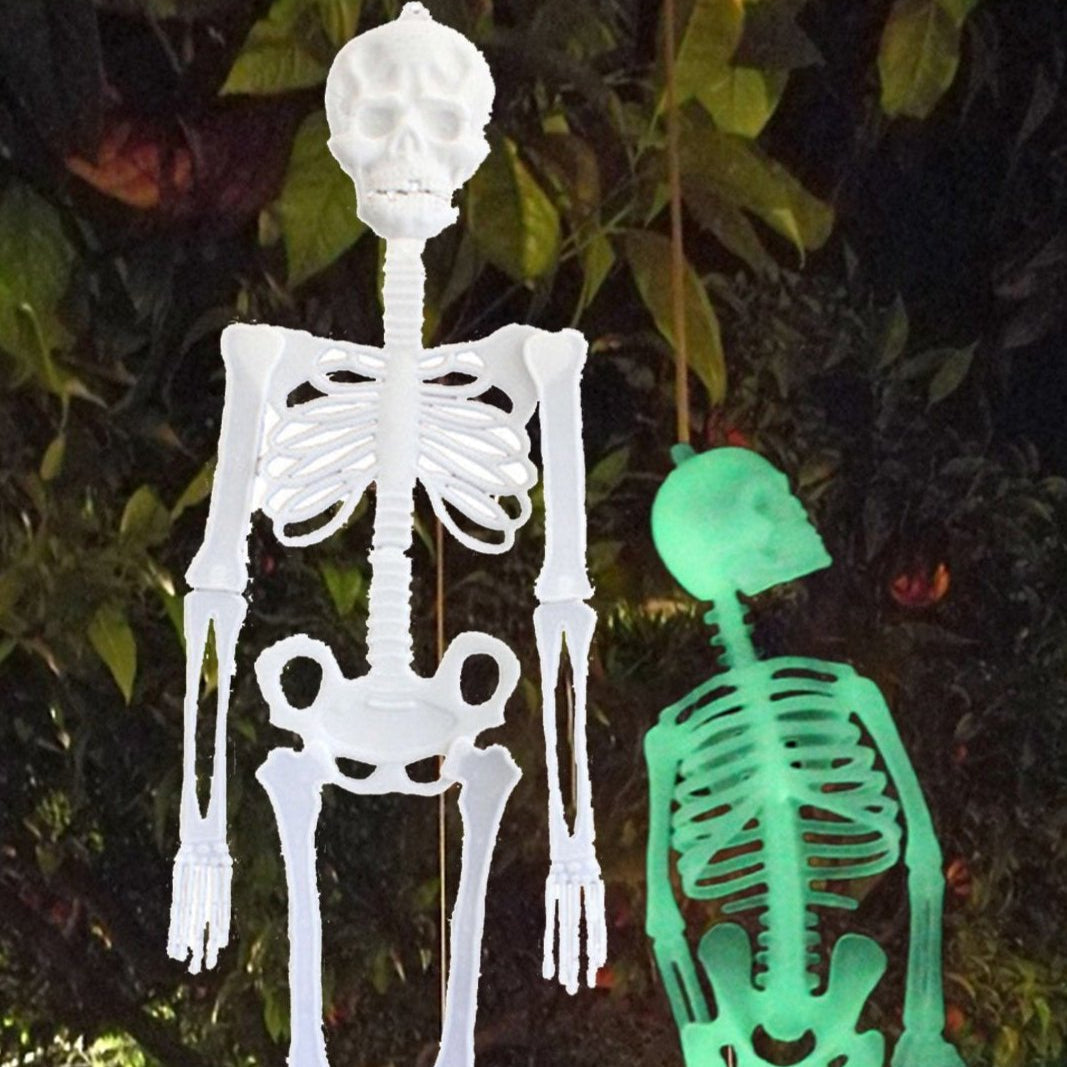 2 Pack Glow in the Dark Skeleton Decor-Next Deal Shop-Next Deal Shop