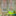 Green Vine Decorative Window Film-View 5-Next Deal Shop