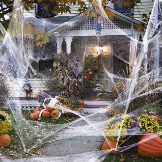 Halloween Stretchable Cobweb With Spiders