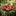 Handmade Metal Flower Garden Stake-View 1-Next Deal Shop