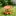 Hedgehog Mushroom Outdoor Bird Feeder-Next Deal Shop-Next Deal Shop