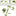 Jade Roller & Gua Sha Facial Tools-View 2-Next Deal Shop