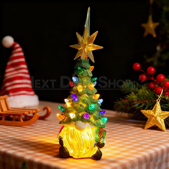 LED Light Up Christmas Gnome Decoration