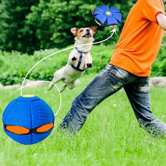 Light Up Flying Saucer Pet Toy Ball