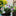 Lily of the Valley Decoration Collection-Next Deal Shop-9 Pcs - Lily of the Valley Garden Stake-Next Deal Shop