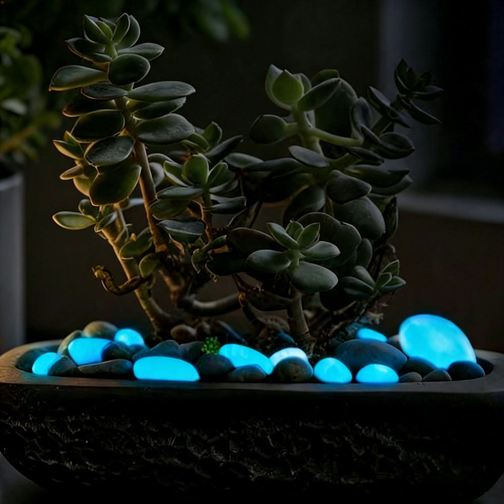 Luminous Glow-in-the-Dark Garden Pebbles - 10-Pack (1.7-Inch), Pathway & Lawn Decor-blue-View 3-Next Deal Shop