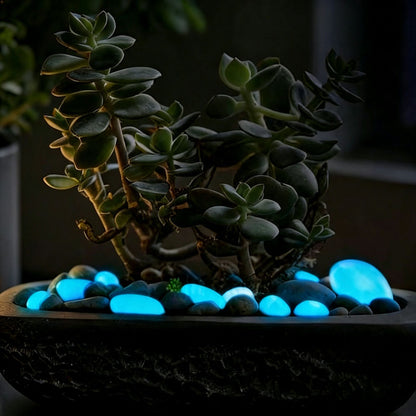 Luminous Glow-in-the-Dark Garden Pebbles - 10-Pack (1.7-Inch), Pathway & Lawn Decor-blue-View 3-Next Deal Shop