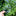 2 Pcs - Monstera Leaf Plant Support-View 4-Next Deal Shop