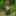 Naughty Garden Gnome Figurine-Next Deal Shop-Next Deal Shop