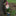 Naughty Garden Gnome Figurine-Next Deal Shop-Next Deal Shop