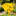 Pollinator-Friendly Bee Watering Station - 2-Pack, 3.9-Inch, Yard & Garden Flower Bed Decor-View 1-Next Deal Shop