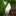 Resin Ghost Garden Figurine-Next Deal Shop-Next Deal Shop