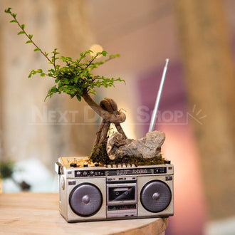 Retro Radio Flower Pot