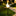 Adorable Solar Powered LED Duck Garden Yard Lawn Stake Light