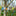 Colorful Birds On a Branch Window Hanging Decor