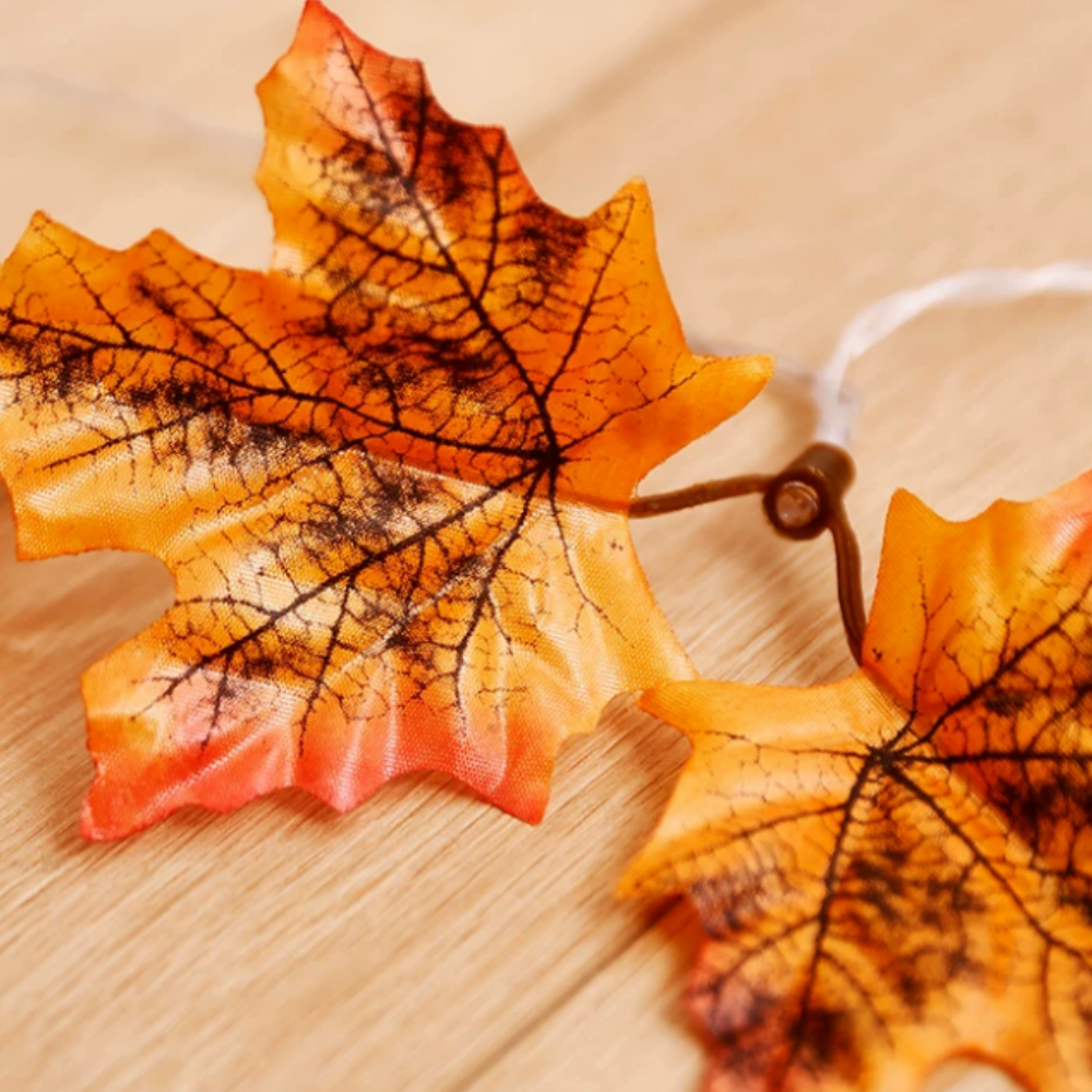 USB Powered Warm White LED Maple Leaf LED String Lights - 9.84 ft, 20 LED, Thanksgiving Halloween Home Mantel Table Holiday Party Decor Lighting