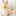 Self Cleaning Pet Brush-Next Deal Shop-Next Deal Shop