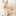 Self Cleaning Pet Brush-View 1-Next Deal Shop