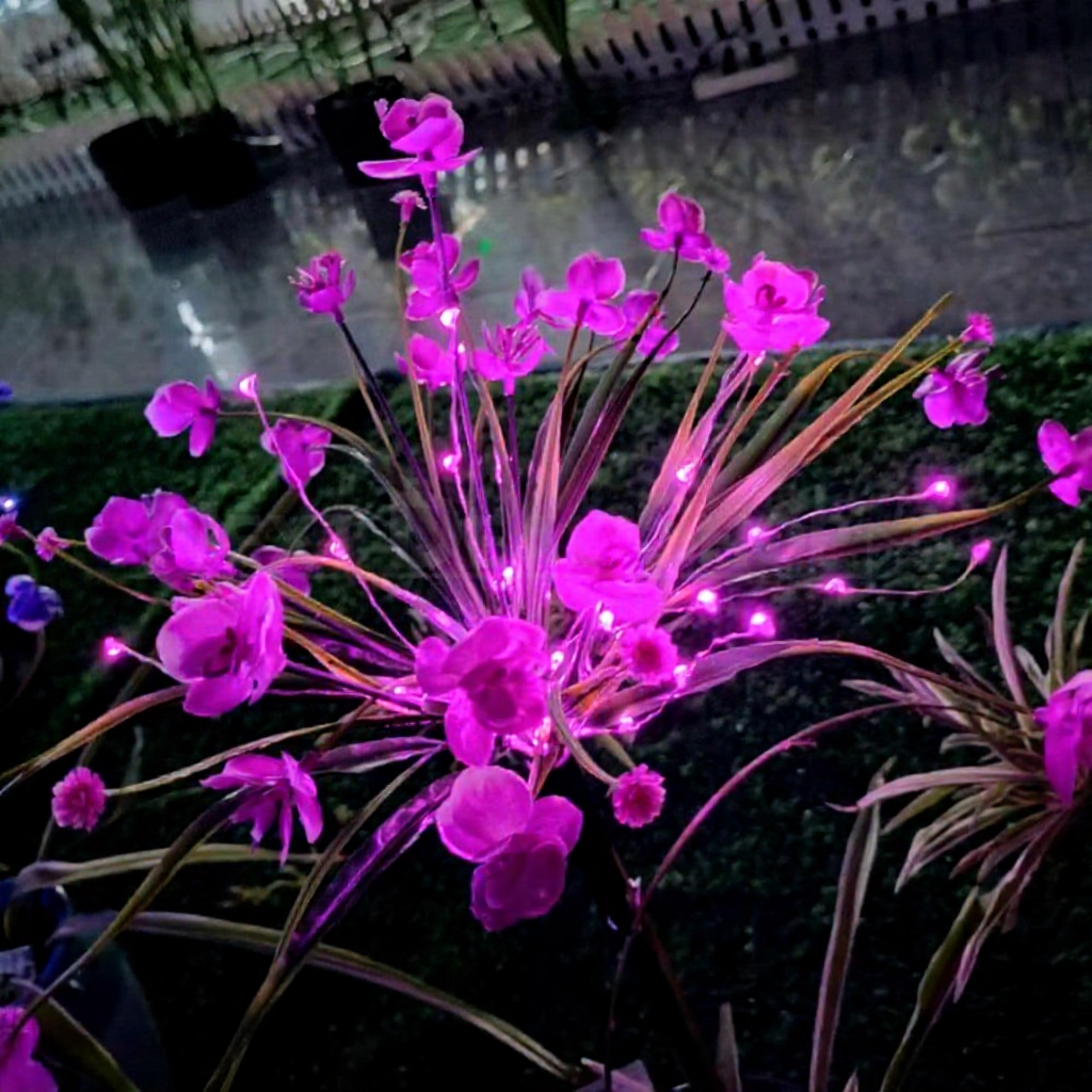 Solar Powered Decorative Purple LED Flower Stake Lights - Waterproof Outdoor Lawn Patio Garden Lighting